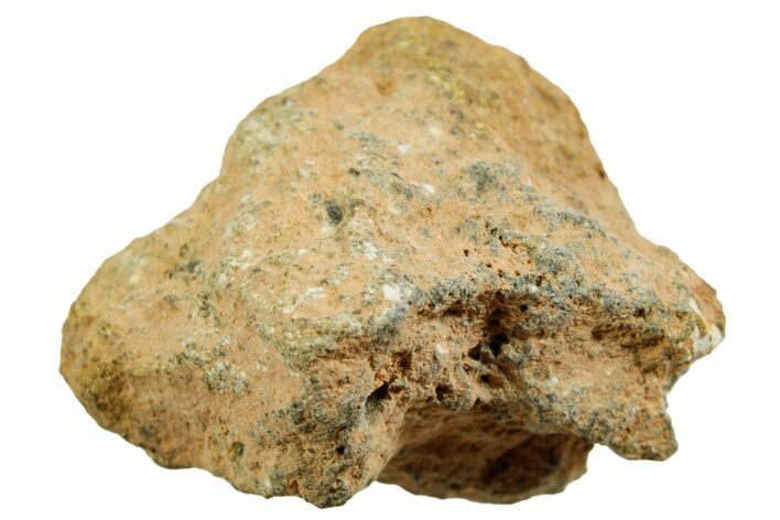 Howardite Meteorite ( g) - Bechar #348432